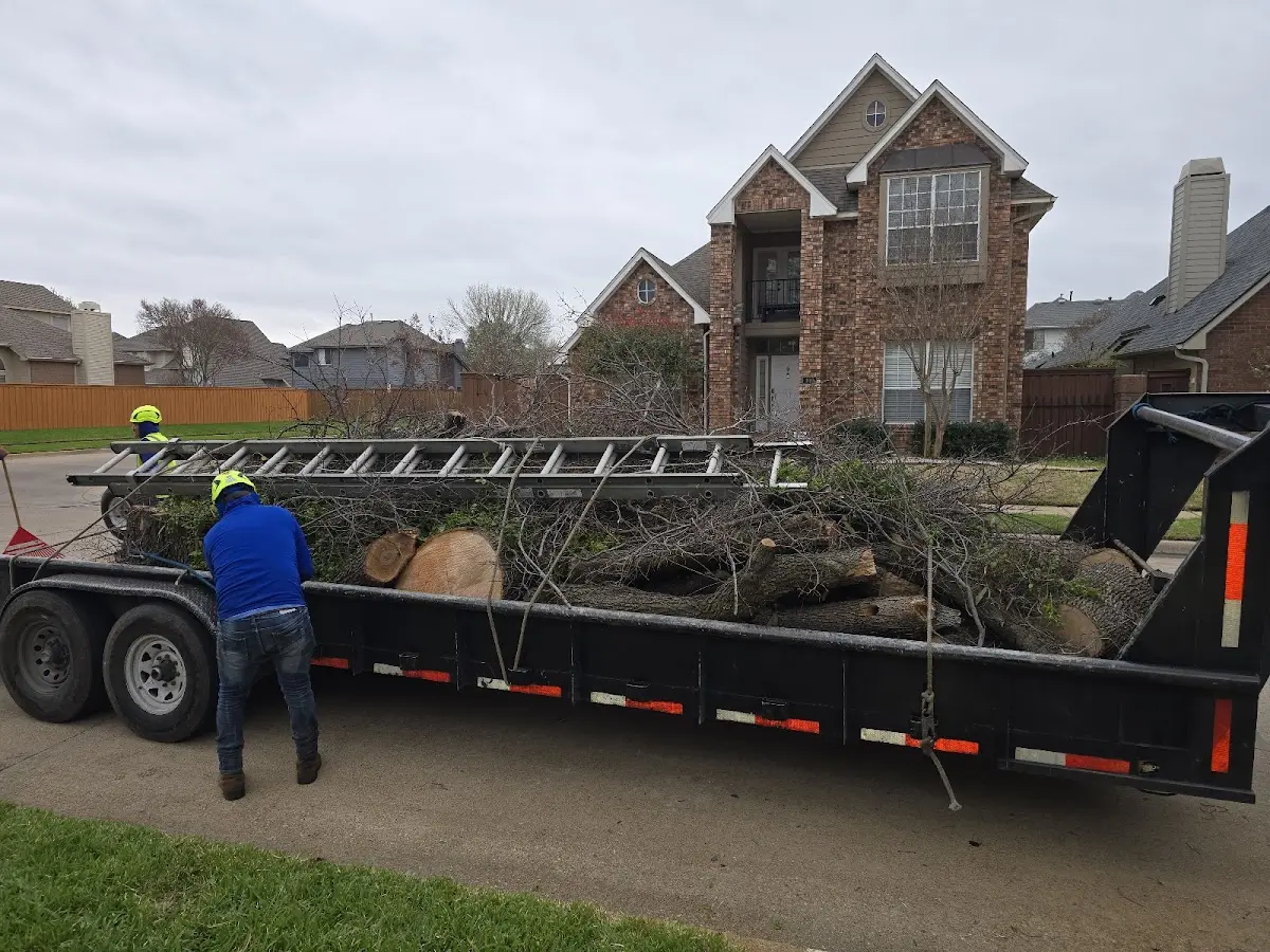 Expert Tree Removal with proper safety equipment in Plevna